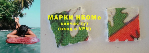 гидра Елабуга
