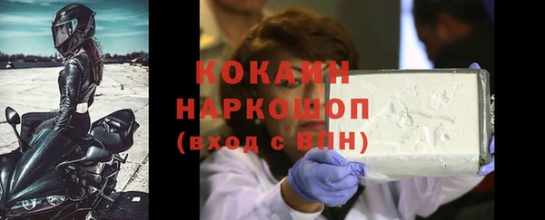 ГАЛЛЮЦИНОГЕННЫЕ ГРИБЫ Осинники