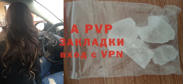 гидра Елабуга