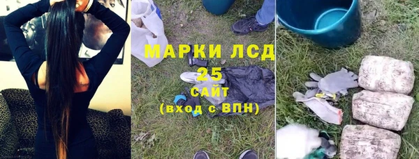ГАЛЛЮЦИНОГЕННЫЕ ГРИБЫ Осинники