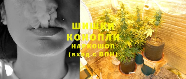 ГАЛЛЮЦИНОГЕННЫЕ ГРИБЫ Осинники