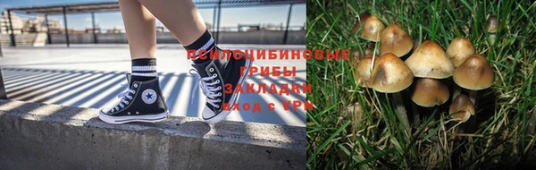 прущая мука Осташков