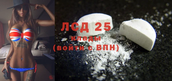ГАЛЛЮЦИНОГЕННЫЕ ГРИБЫ Осинники