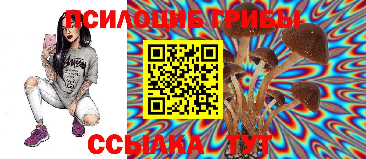 Псилоцибиновые грибы Psilocybine cubensis  Вход с VPN  Псилоцибиновые грибы мухоморы  Нефтекамск 